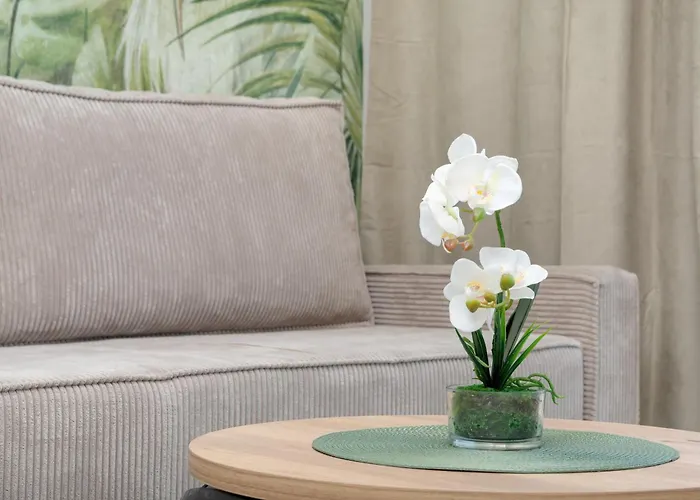 Z Jedna Sypialnia Aleja Kopisto W Rzeszowie By Renters *